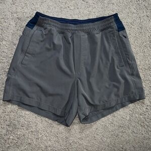 Birddogs Mens Shorts Large Gray Athletic Shorts Lined Drawstring Performance